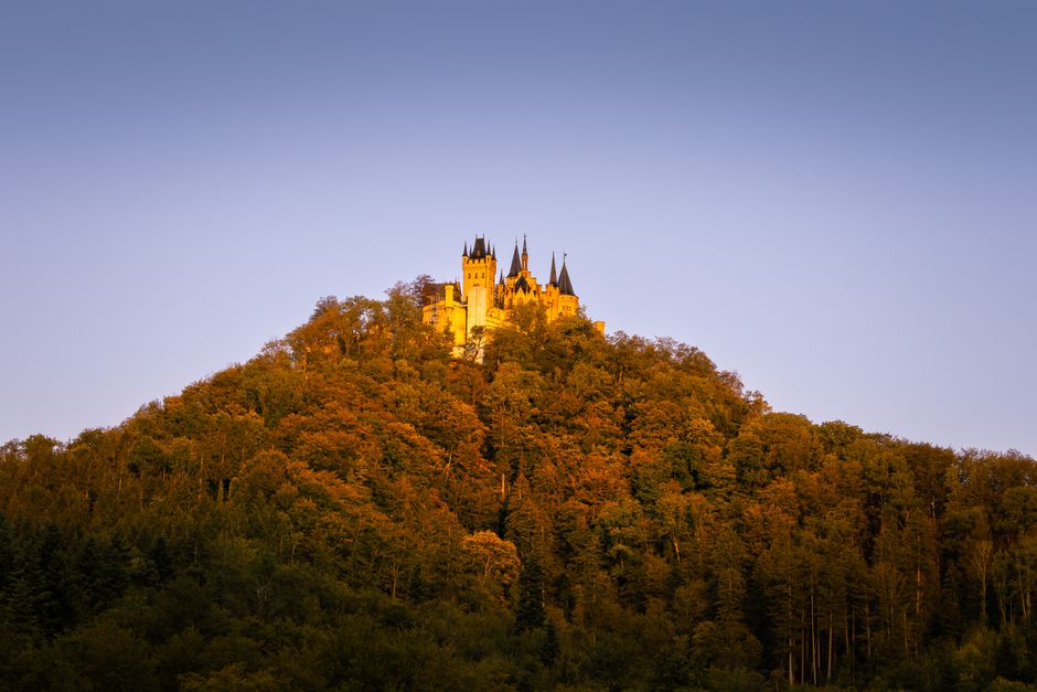 Majestic Hohenzollern Castle sits atop a forested hill under warm autumn light.