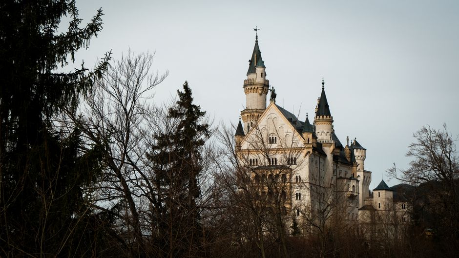 Capture of Neuschwanstein Castle surrounded by bare winter trees, showcasing its fairytale architecture.
